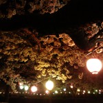糸魚川市須沢公園夜桜2012