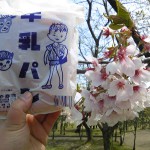美山公園桜開花情報