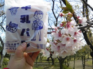 美山公園桜開花情報