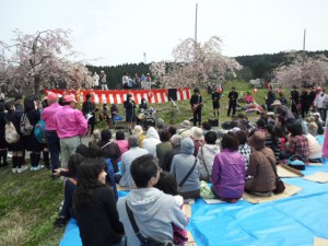 平牛さくら祭り２０１４糸魚川高校バンド